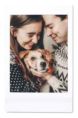 insaxt mini film color photo couple with a dog